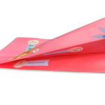 ZW-SC600 無紡布風琴手提袋制袋機